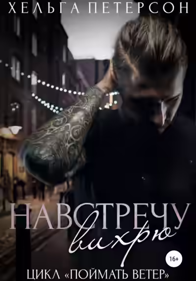 Аудиокнига Навстречу вихрю — слушать онлайн бесплатно