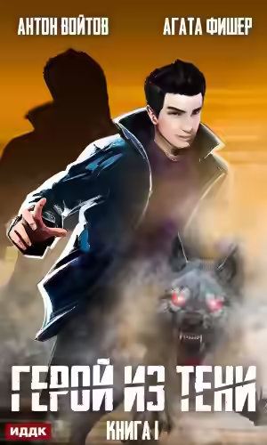 Аудиокнига Герой из тени. Книга 1 — слушать онлайн бесплатно