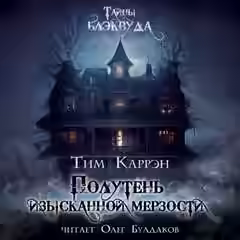 Аудиокнига Полутень изысканной мерзости — слушать онлайн бесплатно