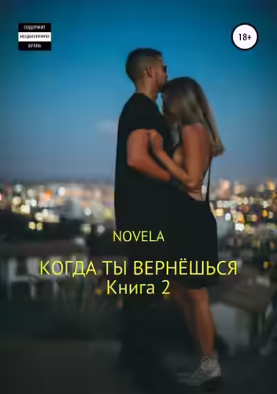 Аудиокнига Когда ты вернешься. Книга 2 — слушать онлайн бесплатно
