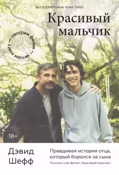 Аудиокнига Красивый мальчик. Правдивая история отца, который боролся за сына — слушать онлайн бесплатно