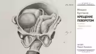 Аудиокнига Крещение поворотом — слушать онлайн бесплатно