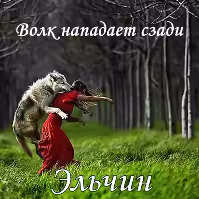 Аудиокнига Волк нападает сзади — слушать онлайн бесплатно