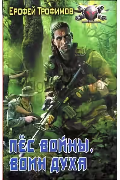 Аудиокнига Воин духа — слушать онлайн бесплатно