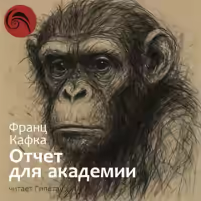 Аудиокнига Отчёт для академии — слушать онлайн бесплатно
