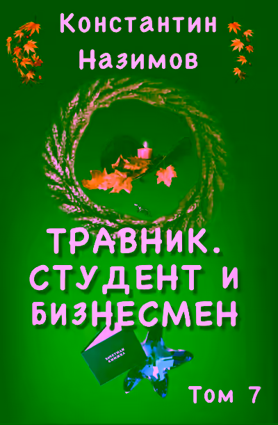 Аудиокнига Студент и бизнесмен — слушать онлайн бесплатно
