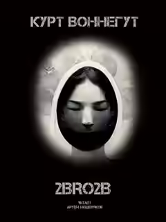 Аудиокнига 2BRO2B — слушать онлайн бесплатно