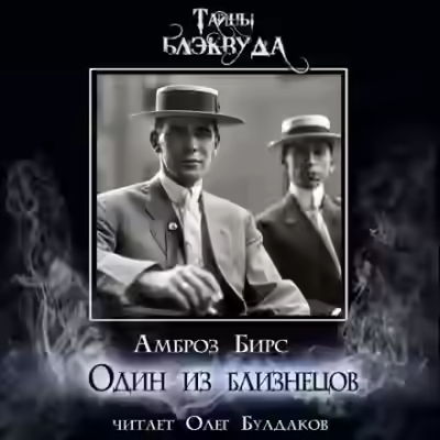 Аудиокнига Один из близнецов — слушать онлайн бесплатно