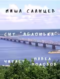 Аудиокнига СНТ 