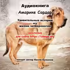 Аудиокнига Удивительные истории из жизни четвероногих — слушать онлайн бесплатно