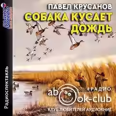 Аудиокнига Собака кусает дождь — слушать онлайн бесплатно