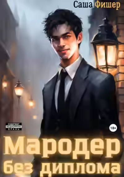 Аудиокнига Мародер без диплома — слушать онлайн бесплатно