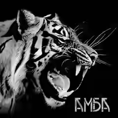 Аудиокнига Амба — слушать онлайн бесплатно