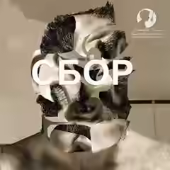 Аудиокнига Сбор — слушать онлайн бесплатно