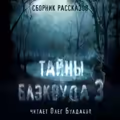 Аудиокнига Тайны Блэквуда (том 3) — слушать онлайн бесплатно