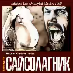 Аудиокнига Сайсолагник — слушать онлайн бесплатно