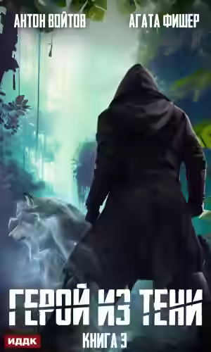 Аудиокнига Герой из тени. Книга 3 — слушать онлайн бесплатно