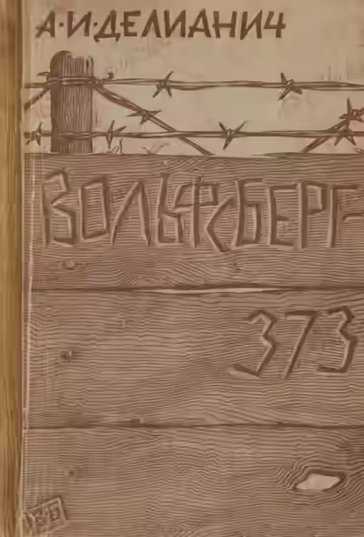 Аудиокнига Вольфсберг-373 — слушать онлайн бесплатно
