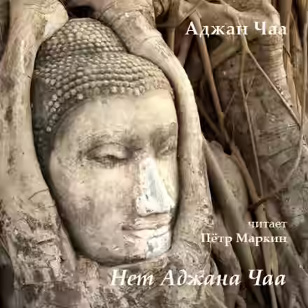 Аудиокнига Нет Аджана Чаа — слушать онлайн бесплатно
