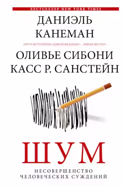 Аудиокнига Шум. Несовершенство человеческих суждений — слушать онлайн бесплатно