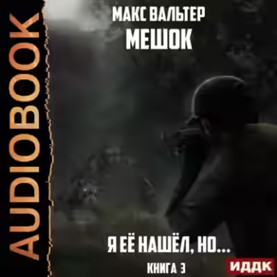 Аудиокнига Я её нашёл, но… — слушать онлайн бесплатно