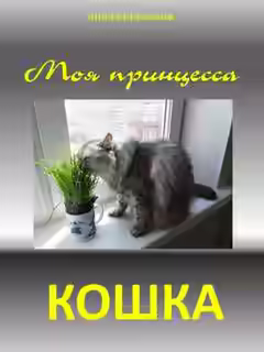 Аудиокнига Моя принцесса - кошка — слушать онлайн бесплатно