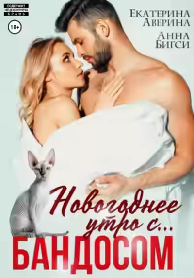 Аудиокнига Новогоднее утро с… Бандосом! — слушать онлайн бесплатно