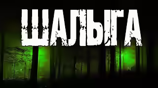 Аудиокнига Шалыга — слушать онлайн бесплатно