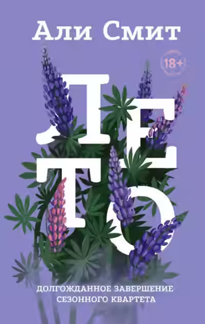 Аудиокнига Лето — слушать онлайн бесплатно