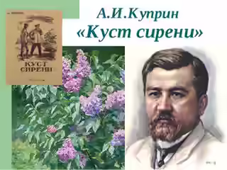 Аудиокнига Куст сирени — слушать онлайн бесплатно