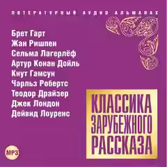 Аудиокнига Классика зарубежного рассказа 14 — слушать онлайн бесплатно