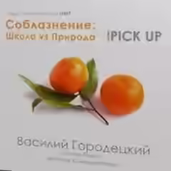 Аудиокнига Школа vs. Природа — слушать онлайн бесплатно