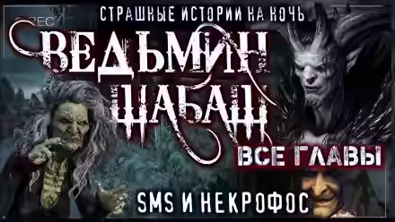 Аудиокнига Ведьмы уходят в небо — слушать онлайн бесплатно