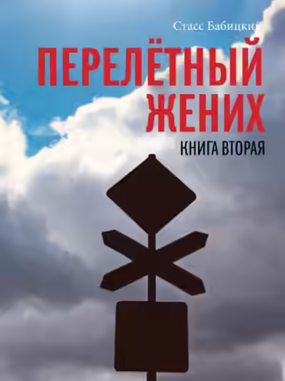 Аудиокнига Перелётный жених. Книга вторая — слушать онлайн бесплатно
