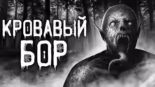 Аудиокнига Кровавый бор — слушать онлайн бесплатно