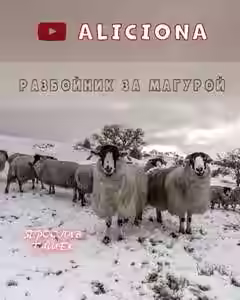 Аудиокнига Разбойник за Магурой — слушать онлайн бесплатно