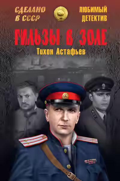Аудиокнига Гильзы в золе. Глазами следователя — слушать онлайн бесплатно