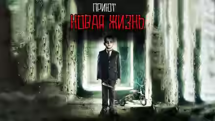 Аудиокнига Приют Новая жизнь — слушать онлайн бесплатно