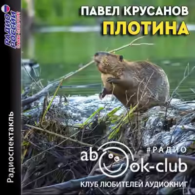 Аудиокнига Плотина — слушать онлайн бесплатно