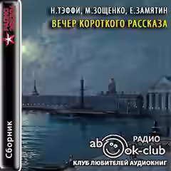 Аудиокнига Вечер короткого рассказа — слушать онлайн бесплатно