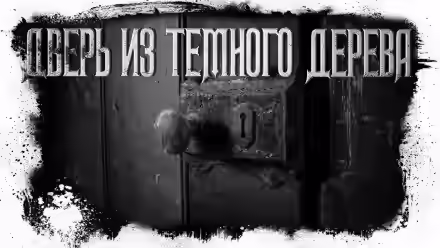 Аудиокнига Дверь из тёмного дерева — слушать онлайн бесплатно
