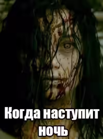 Аудиокнига Когда наступит ночь — слушать онлайн бесплатно