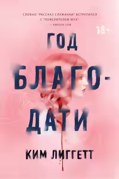 Аудиокнига Год благодати — слушать онлайн бесплатно