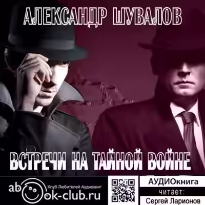 Аудиокнига Встречи на тайной войне — слушать онлайн бесплатно