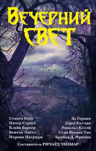 Обложка цикла Вечерний свет