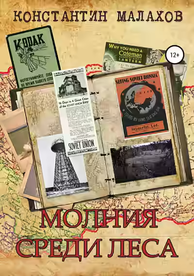 Аудиокнига Молния среди леса — слушать онлайн бесплатно