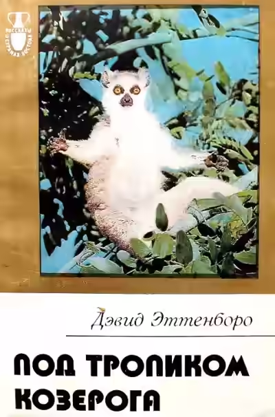 Аудиокнига Под тропиком козерога — слушать онлайн бесплатно