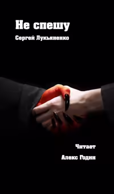 Аудиокнига Не спешу — слушать онлайн бесплатно