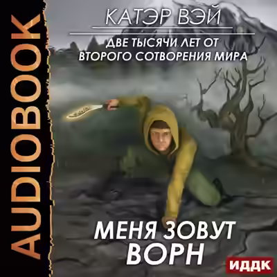 Аудиокнига Меня зовут Ворн — слушать онлайн бесплатно