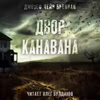 Аудиокнига Двор Канавана — слушать онлайн бесплатно